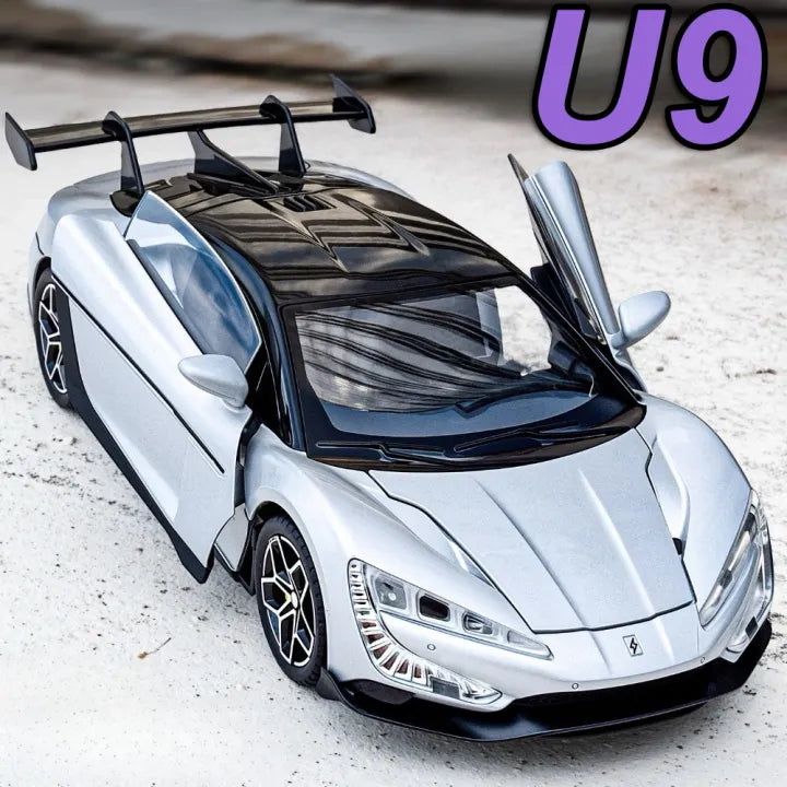 1:24 Diecast New Energy U9 Model Car