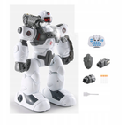 Remote & Gesture Control Spray & Bullet Shooting Robot